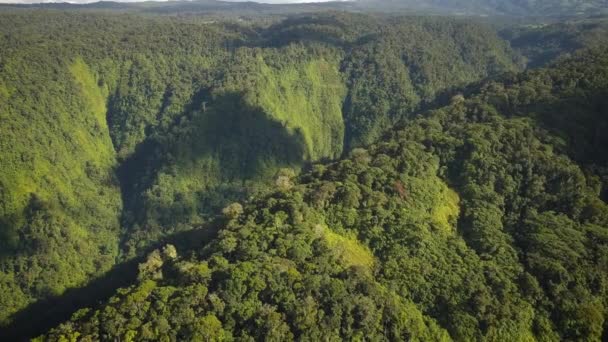 Cinematic Aerial View Deep Tropical River Valley — Vídeos de Stock