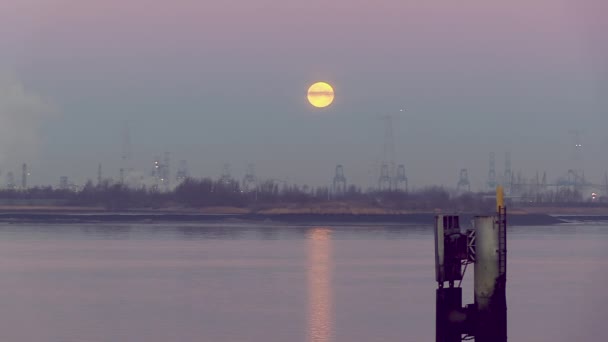 Awesome View Blood Moon Lunar Eclipse January 2019 Dawn Scheldt — Vídeos de Stock
