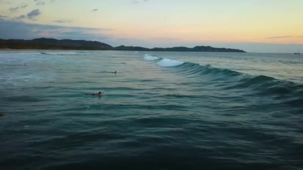 Drone Shot People Surfing Beautiful Ocean Sunset — Stok video