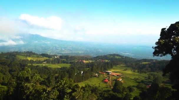 Cinematic Aerial Shot Sprawling Tropical Countryside — ストック動画