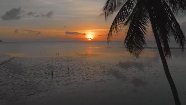 Aerial Flight Colorful Sunset Beach People Walking Water — 图库视频影像