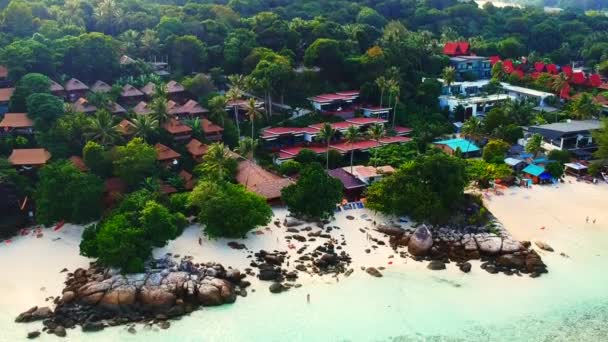 Aerial Shot Resorts Beach Few Unrecognisable People Walking Shoreline Trees — Stockvideo