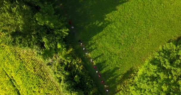 Aerial View Group People Walking Line Grassy Prairie — Stockvideo