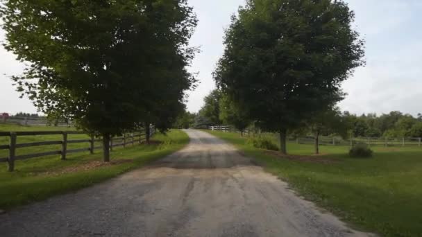 Walking Dirt Path Beautiful Farm — Vídeo de Stock