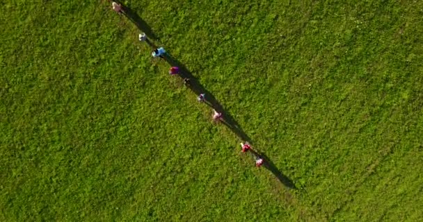 Drone Shot Group People Walking Line Grassy Prairie — стоковое видео