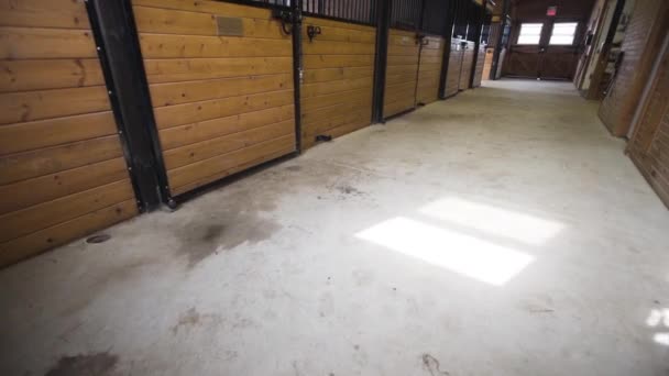 Large Wooden Horse Stable Farm — Stockvideo