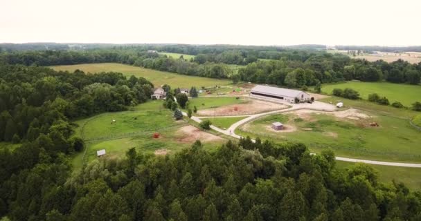 Aerial View Large Farm — Vídeos de Stock
