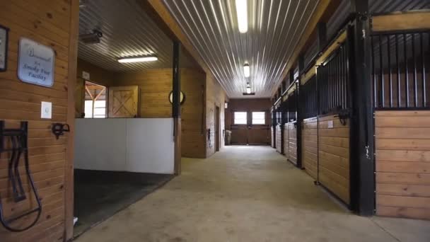 Interior Wooden Stable Farm — Stockvideo