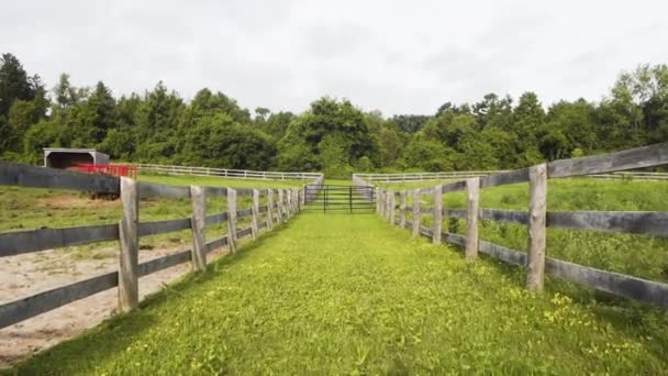 Dvě Pastviny Dřevěnými Ploty Venkovské Farmě — Stock video