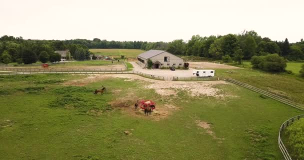 Aerial View Large Horse Farm Stable — Stockvideo