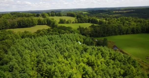 Drone Flying Large Green Forest Summer — 图库视频影像