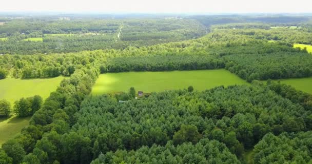 Drone Flying Vast Forest Small Farming Property — Vídeo de Stock