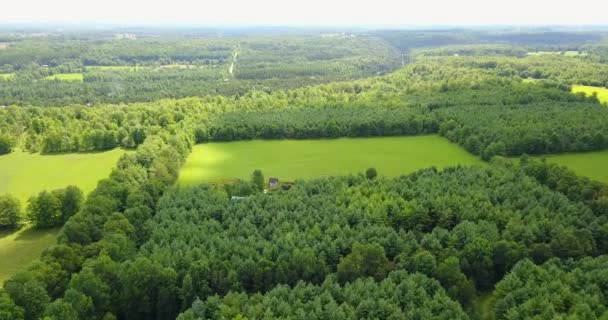 Drone Flying Vast Forest Small Farming Property — Vídeos de Stock