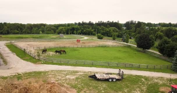 Drone Flying Horse Ranch Countryside — Stockvideo