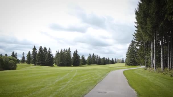 Driving Beautiful Golf Course Fairway — Stockvideo