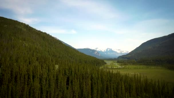 Cinematic Aerial View Beautiful Forest Mountain Range — Wideo stockowe