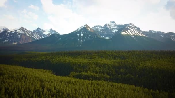 Snowy Mountain Peaks Vast Forest Wilderness — Stock videók