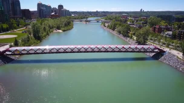 Cinematic Aerial Shot Ver Peace Bridge Calgary — Vídeos de Stock