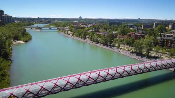Cinematic Drone Shot Flying Peace Bridge Calgary — Stockvideo