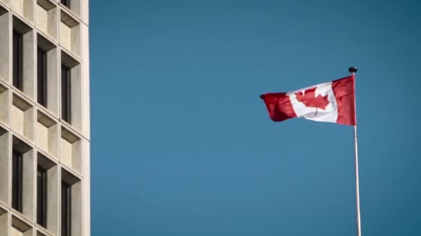 Beautiful Canadian Glag Blowing Breeze Downtown — Vídeo de Stock