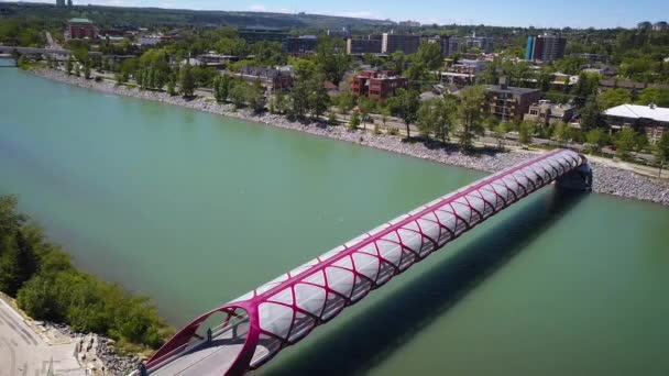 Aerial View Beautiful Modern Pedestrian Bridge River — Video