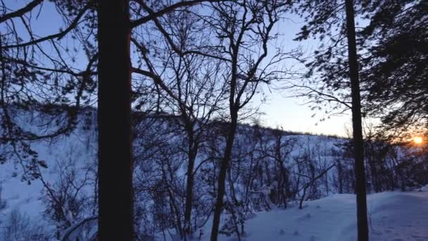 Panning Shot Sunrise Sunset Seen Snowy Spruce Forest — Vídeos de Stock