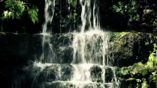 Tight Shot Waterfall Zilker Park — Stockvideo