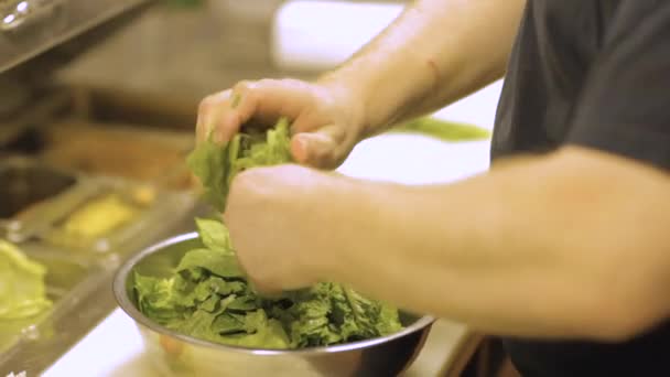 Chef Chopping Lettuce Kitchen Restaurant — 图库视频影像