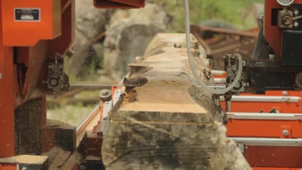 Saw Cutting Machine Slicing Large Log — Stockvideo