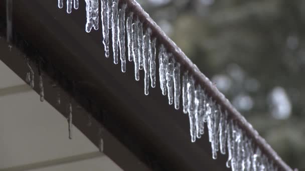 Melting Icicles House Eaves Trough — Stock video