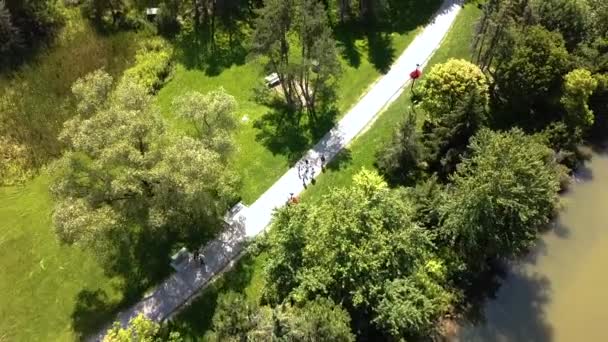 Drone Flying Trail Beautiful Park — Videoclip de stoc