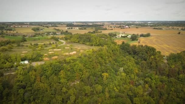 Cinematic Drone Shot Large Farming Fields Countryside — Stok video