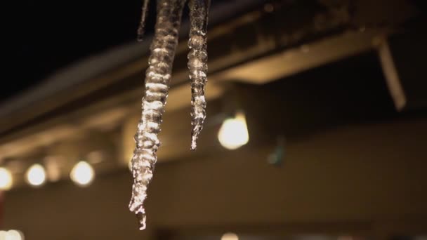 Backlit Melting Icicle Hanging Roof Dripping Slow Motion — Stockvideo