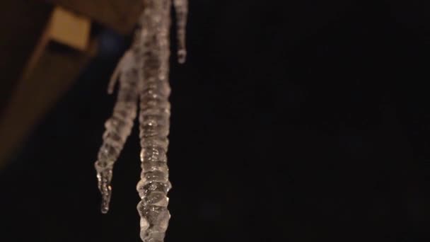 Backlit Melting Icicle Hanging Roof Dripping Slow Motion — Stock video