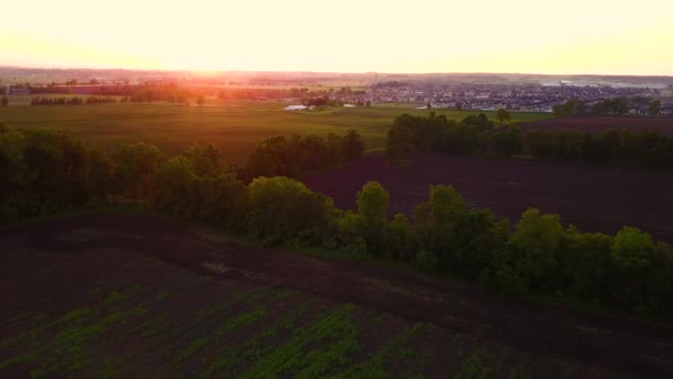 Beautiful Golden Sunset Prairie Countryside — Vídeos de Stock