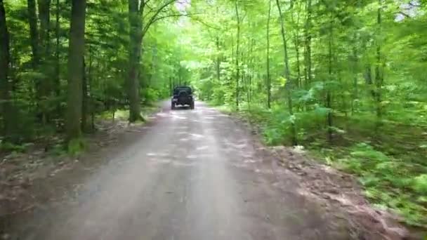 Jeep Roading Dirt Trail Forest Canopy — Stockvideo