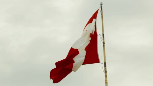 Large Canadian Flag Blowing Wind — Stock Video