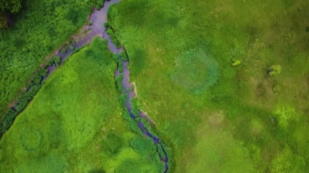 Drone Flying Large Marshy Riverbed — Stok video