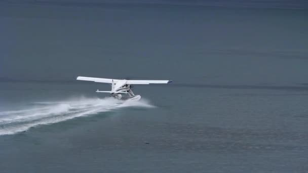 Small Seaplane Taking Lake — Wideo stockowe