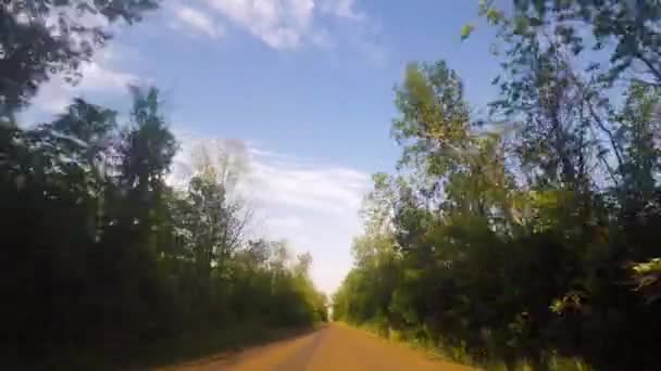 Car Driving Dirt Road Forest Sunset — Wideo stockowe