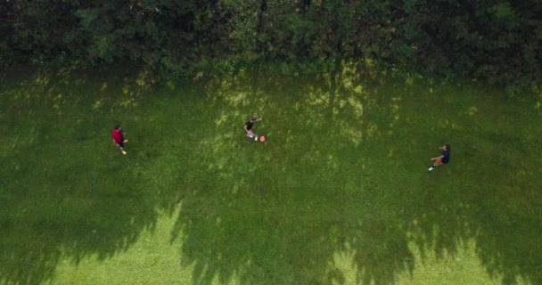 Drone Shot People Playing Soccer Field — Stockvideo