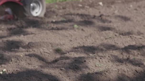 Man Uses Rototiller Till His Garden Farming Countryside — ストック動画