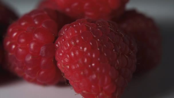 Panning Group Raspberries White Plate Black Background — Vídeo de stock