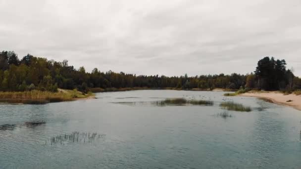 Drone Flying Lake Birds Sweden — 비디오