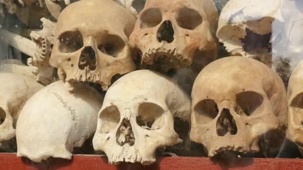 Close Skulls Tuol Sleng Genocide Museum Cambodia — ストック動画