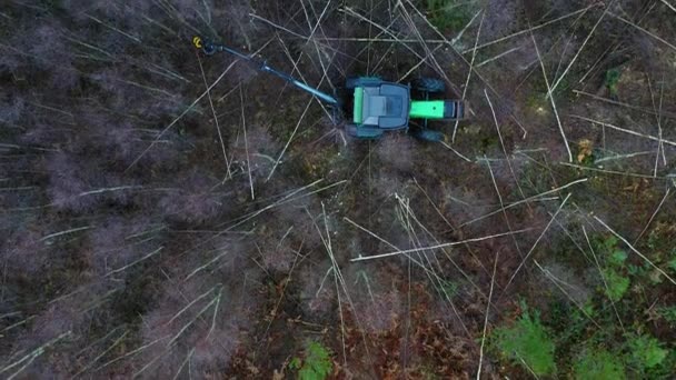 Bird Eye View Green Tractor Cutting Trees Forest — Video