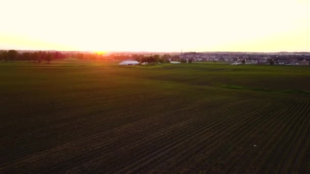 Drone Flying Farm Crop Field Beautiful Sunset — Stock video