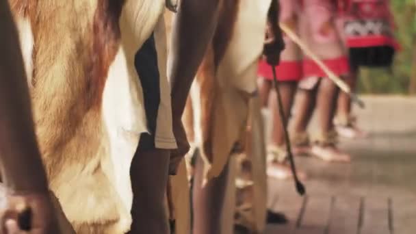 Zulu Tribesman Hitting Traditional Drums — Vídeos de Stock