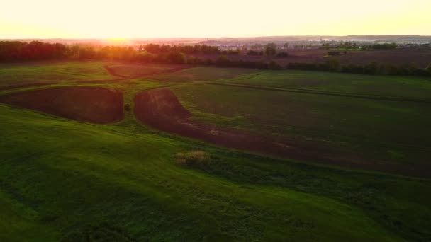 Beautiful Sunset Grassy Prairie Countryside — 图库视频影像