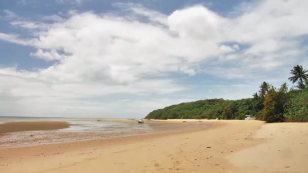Beach Time Lapse Clouds Palms Trees Summer Day — Stockvideo